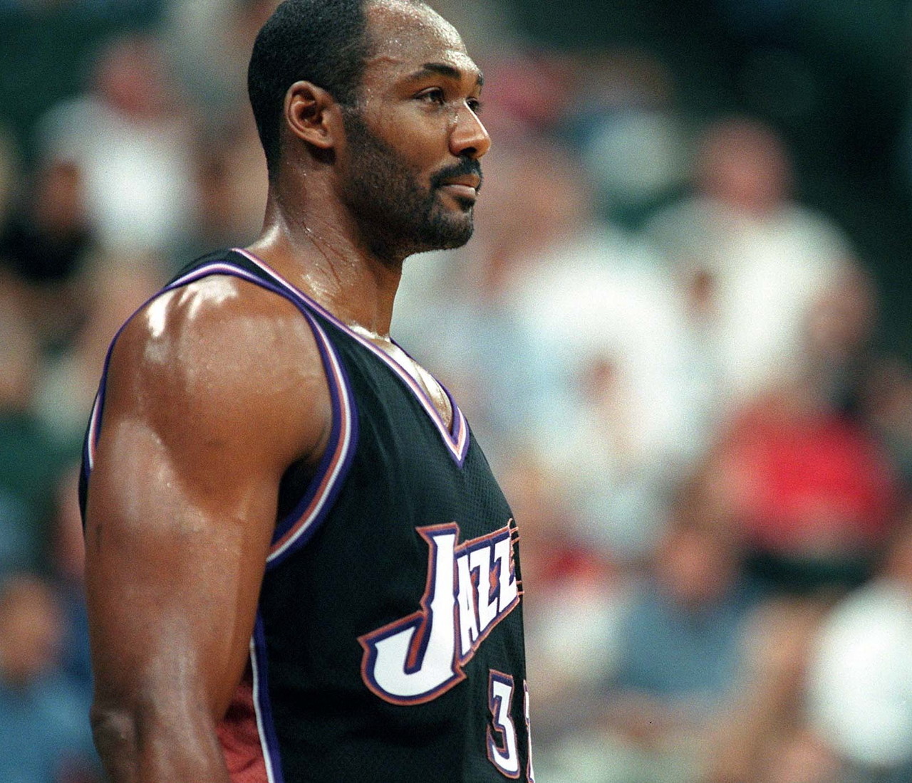 将他们放在 将他们放在