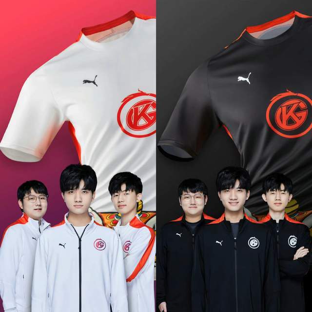 双雄争霸 双雄争霸