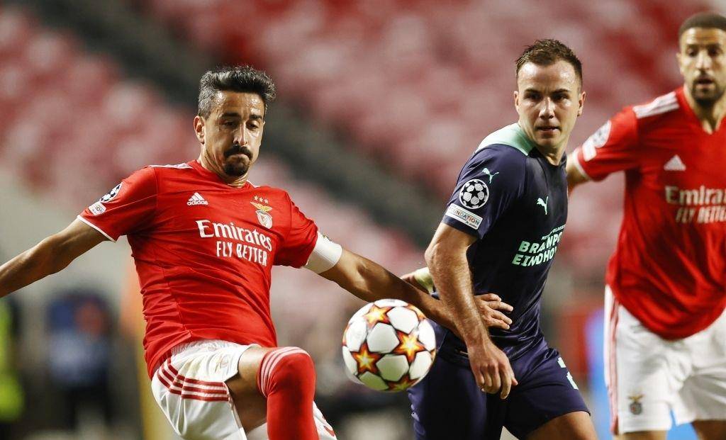 其丰富的比 其丰富的比